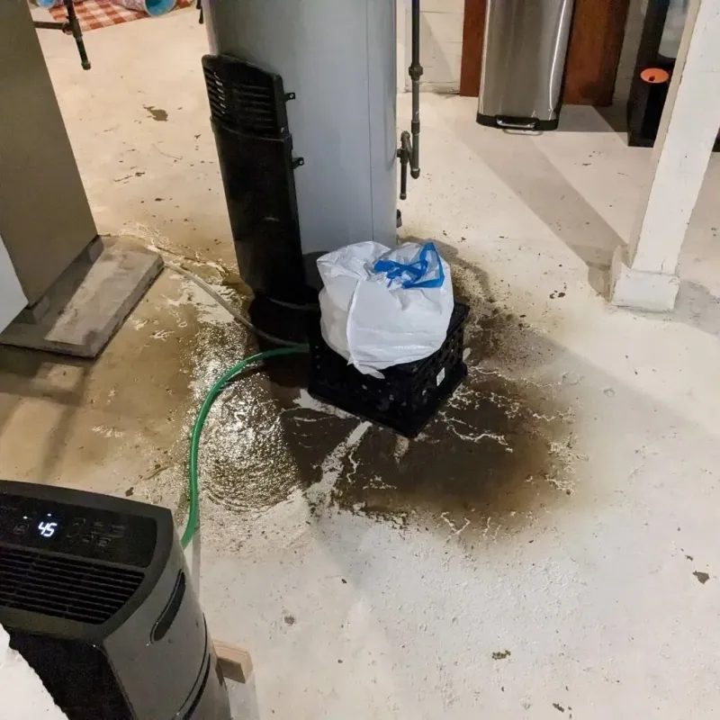 Sewage Backup Cleanup Service in Riverview, MO